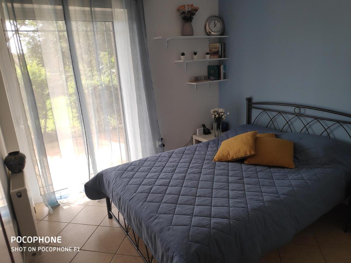 Palaiá Fókaia Anavyssos Garden House 게스트하우스 외부 사진